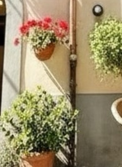 Gerani sulla facciata